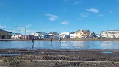 Tipico potrero fueguino :)