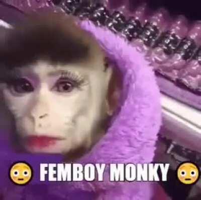 femboi monkey is looking kind of thicc caw caw