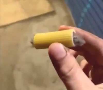 Mouse stuck in pasta 