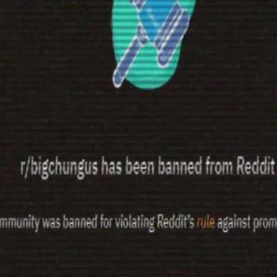 Steelwing predicted 1984 😮