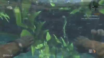 farewell.... lesbian