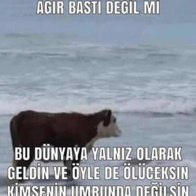 Bayram özel sad post :dd