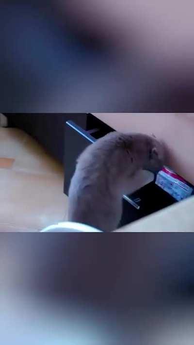 Love their expressions when they are caught out