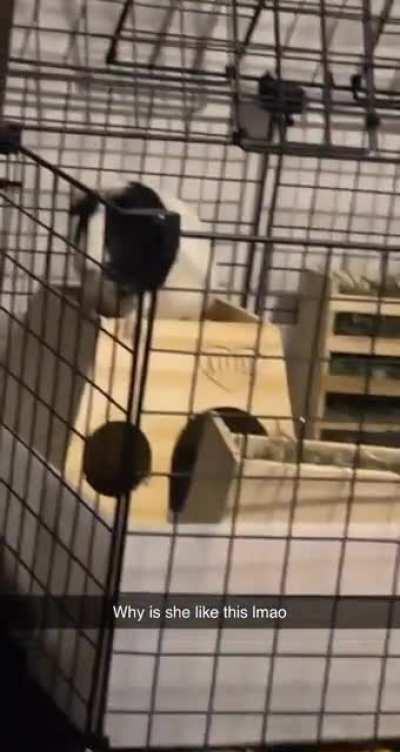 when the edible kicks in