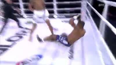 Alex Pereira's devastating striking in action