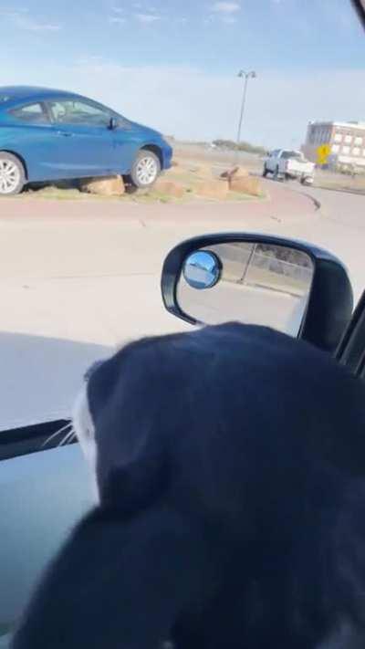 to drive like a rockstar.