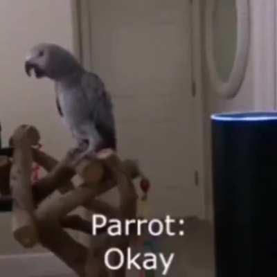 The little jig at the end...