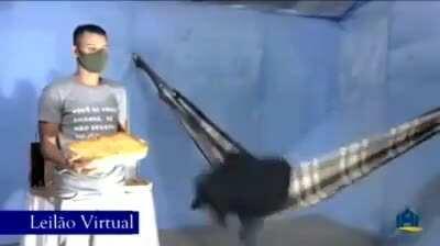 Padre fazendo leilão fodase