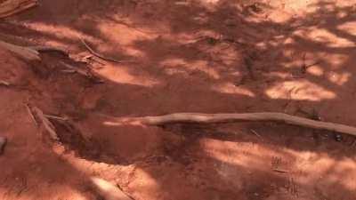 Hiking in Utah is one big sweaty palm