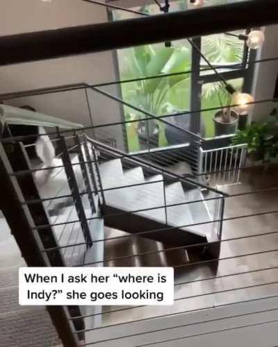 Who is your best friend