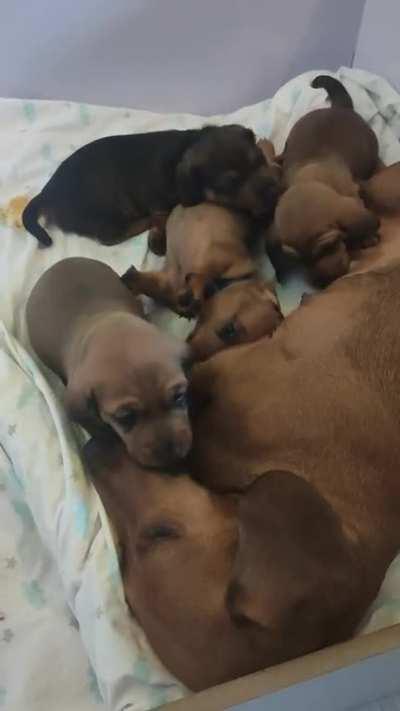 New to the sub. We smol enough? 