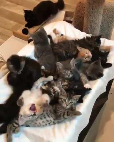 Стартовый набор сильной и независимой