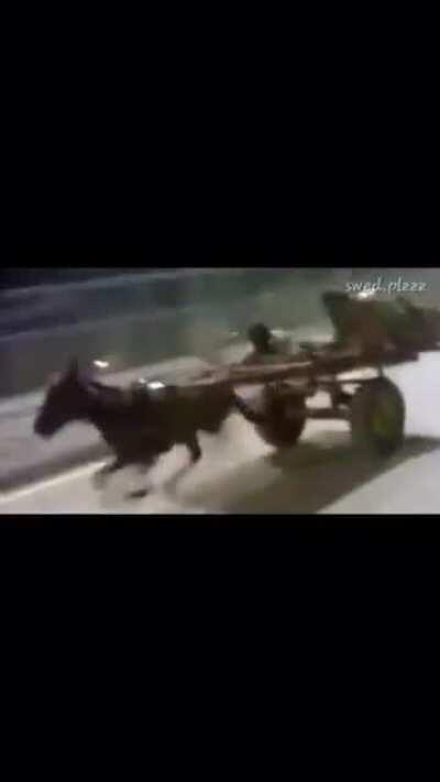 Guys I just spotted the new Ferrari testing at Spa