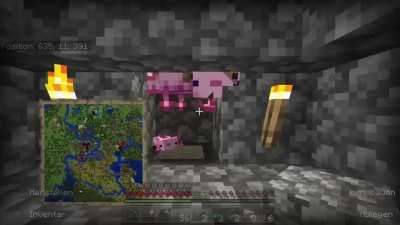 I was working on my stray farm when suddenly these little fellas appeared.