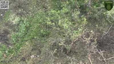 UA POV - Ukrainian soldiers take over a Russian trench. Several Russian soldiers are killed and wounded while abandoning their position.
