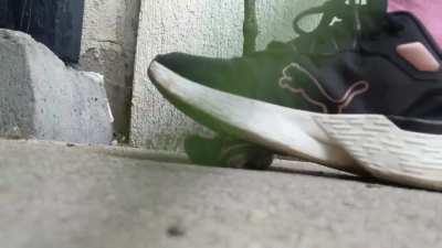 Quick snail crush with sneakers