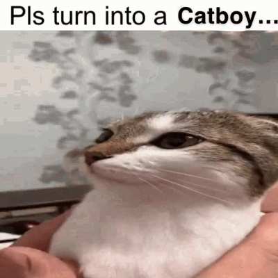 Mr wunkus.....please :< 