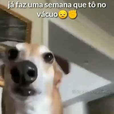 Ela mandou mensagem dizendo que estar sem internet 😔👌