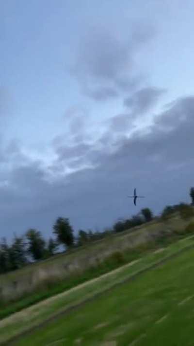 Blursed drone