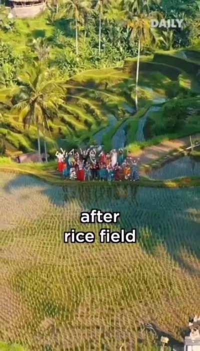 This video ruined my year