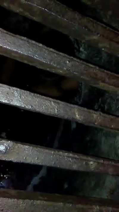 Would you help Pennyless the crackhead?