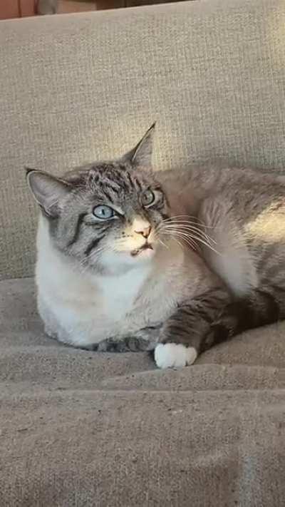 He sat like this for about 4 minutes....