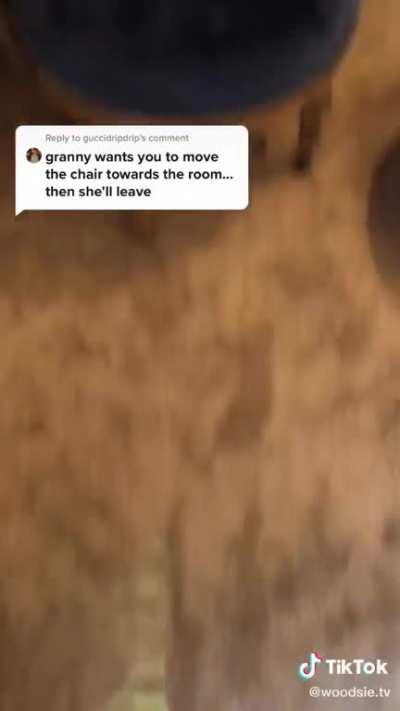 Gram-gram just wanted to go for a little walk.