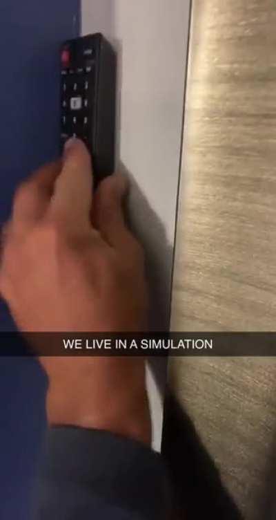 We live in a simulation