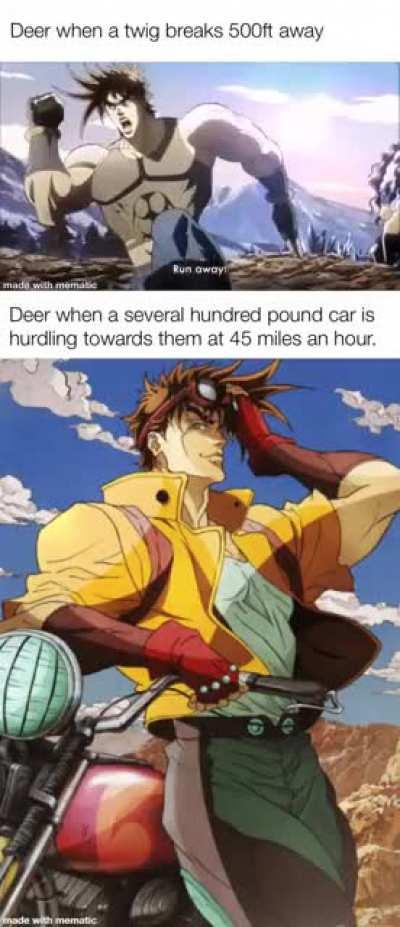 Dedicated to the most suicidal animal in earth