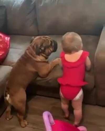 The struggle *is* real