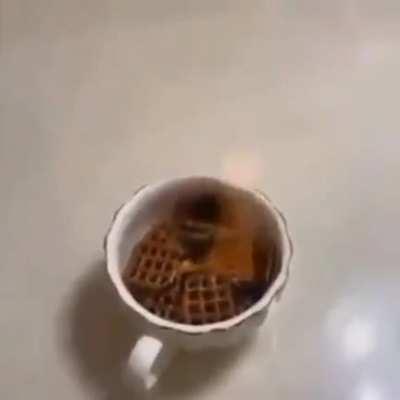 Pretzels on focking foire