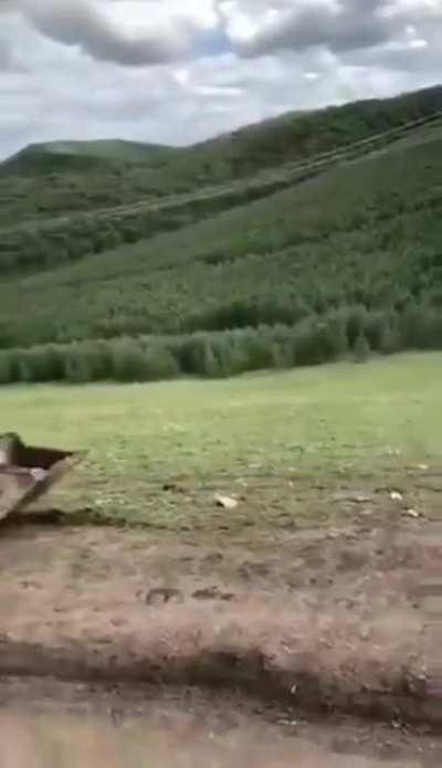 Хорошо пошла