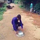 You need to be quick to catch the bird inside!