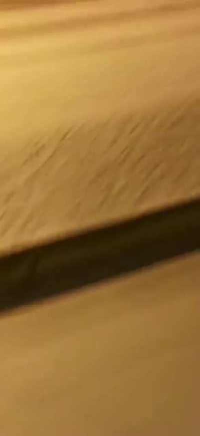 No winter tires (bird squeaking in the background)