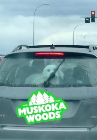 Clearly not familiar with the concept of glass