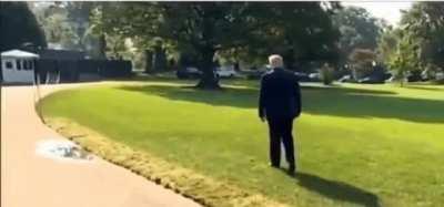 Trump walking like an NPC. Video source or higher res please...