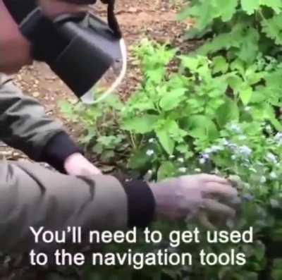 Gamer tricked into touching grass