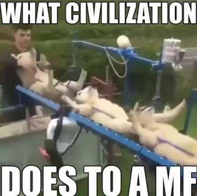FUCK CIVILIZATION ALL MY HOMIES HATE CIVILIZATION