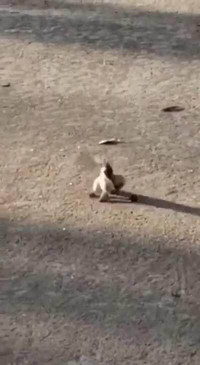 Fighting among yourselves, gives chance to outsiders to attack