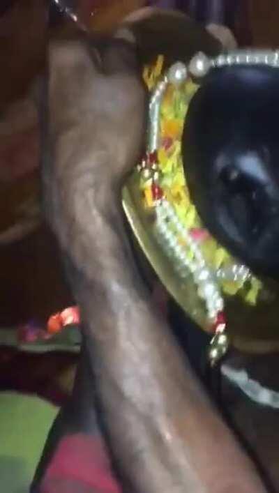 A large shalagrama shila at Ahobilam Narasimha Swamy temple in Andhra Pradesh.