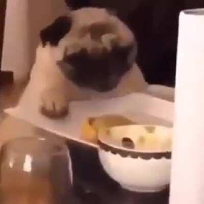 Smol Rae having dinner