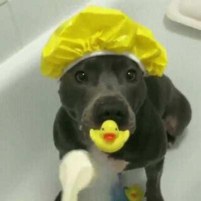 Guess I'm all clean now