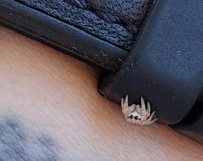 I love how they look at you