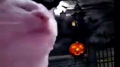 Spooktober: *Arrives* Chat: