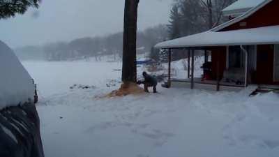WCGW felling a tree right next to my house