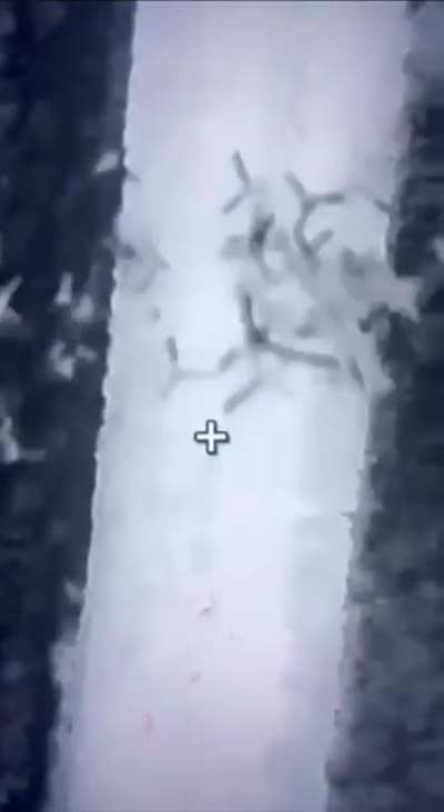 Archival footage from April 2024 showing drone dropped caltrops, unknown location.