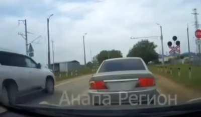 The Apex predator strikes again