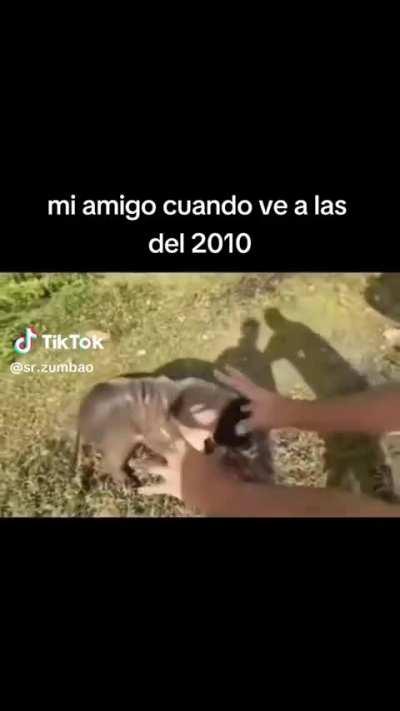 Las criptos le afectaron al salva 🗿