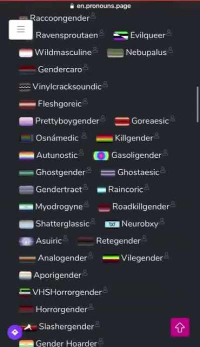 this person makes pride flags for systems...