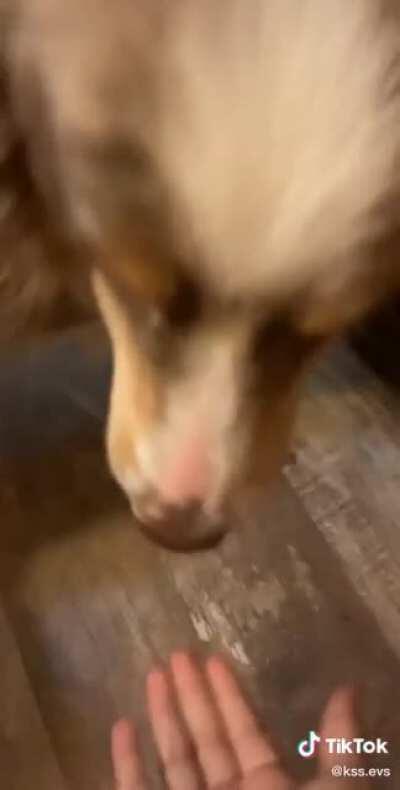 ...nnnggrrrrrRrrRrRRRRRRRRAEOEK